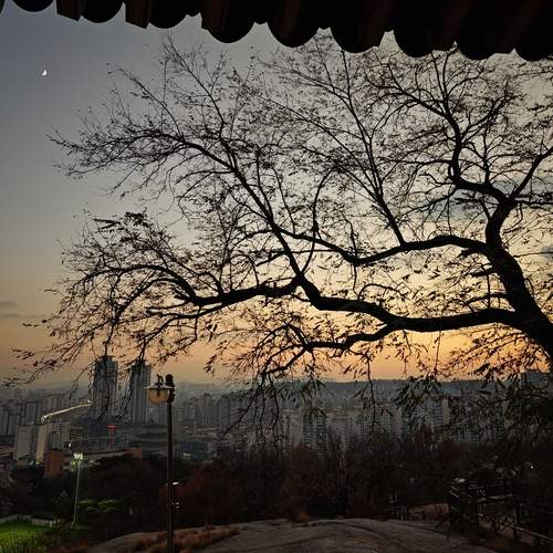 Photo #12956622