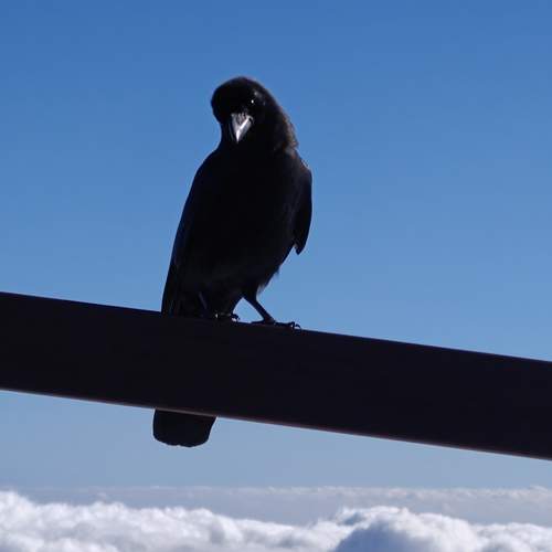 Photo #12956624