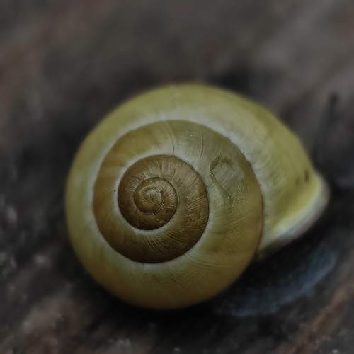 Photo #12956847