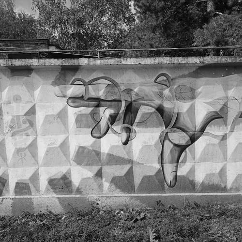 Photo #12957035