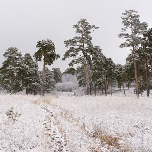 Photo #12957163
