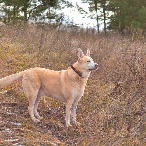 Photo #12957169