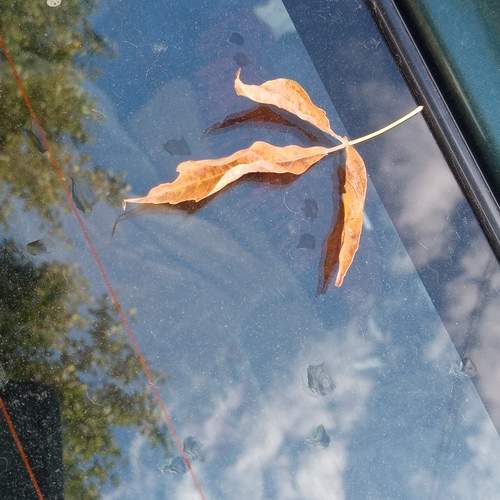 Photo #12957285