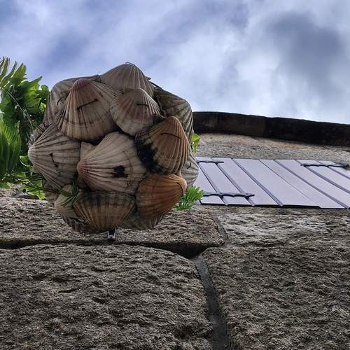 Photo #12957341