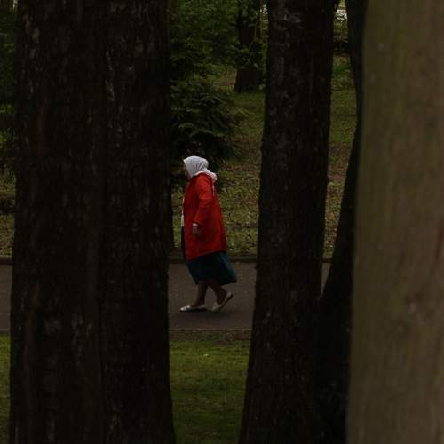 Photo #12957685