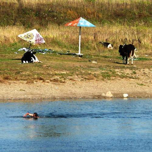 Photo #12957687