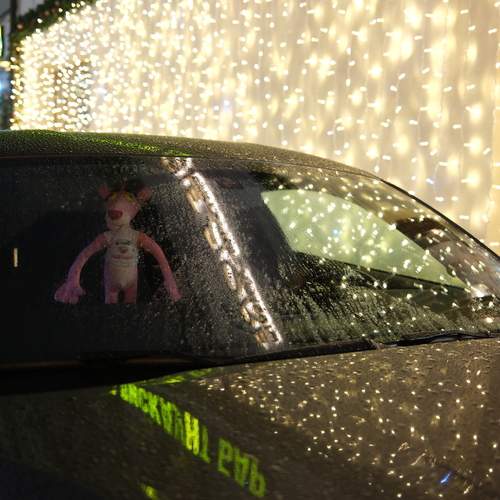 Photo #12958140