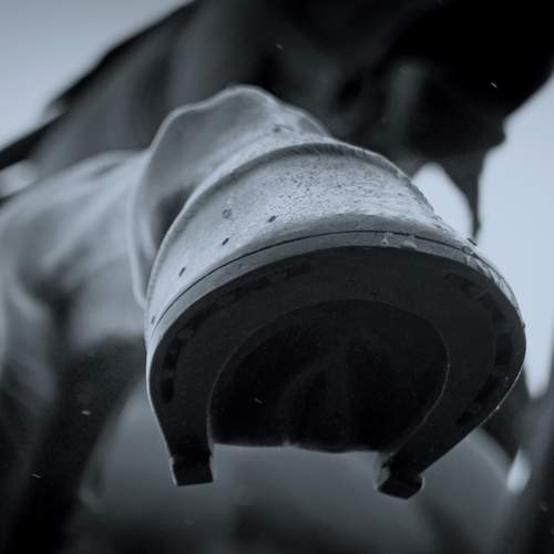 Photo #12958204