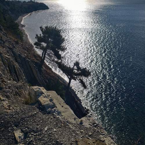 Photo #12958278