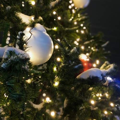 Photo #12958797