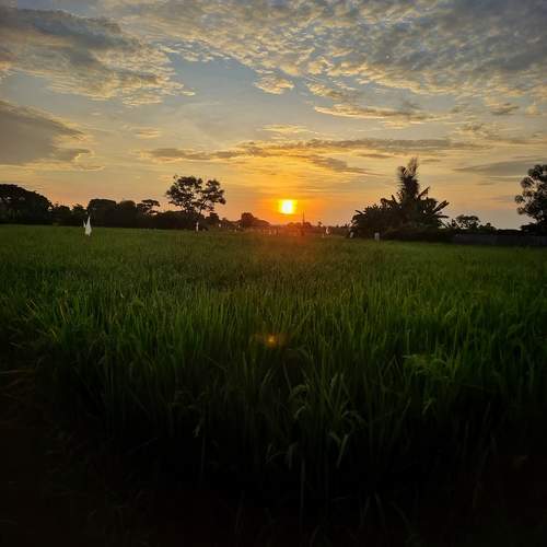 Photo #12958912