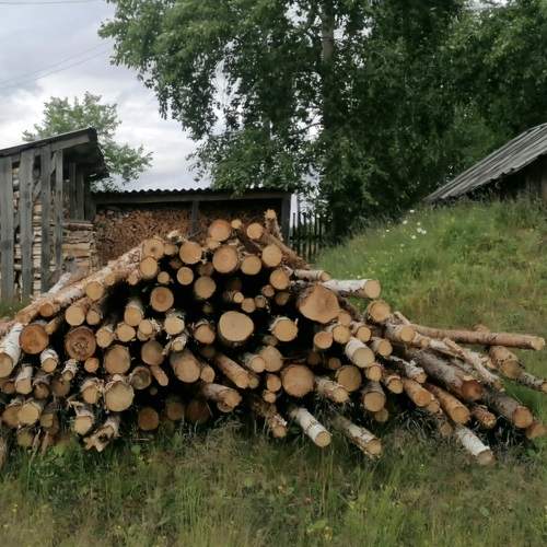 Photo #12959007