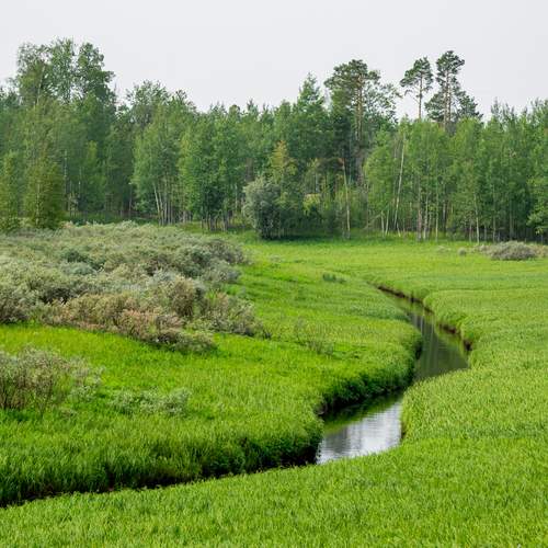 Photo #12959027