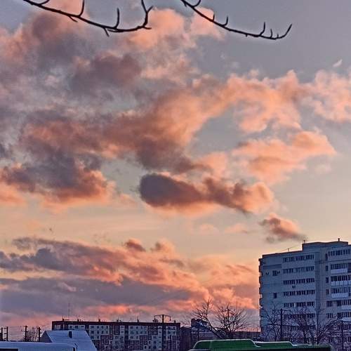 Photo #12959067