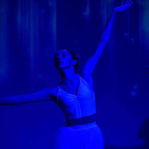 Photo #12959152