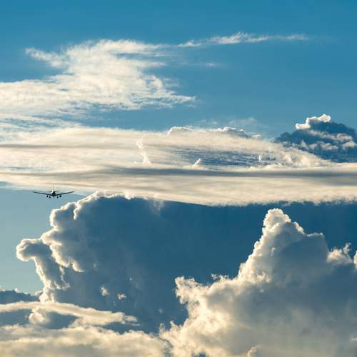 Photo #12959522