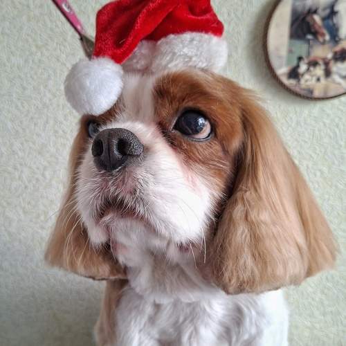 Photo #12959573