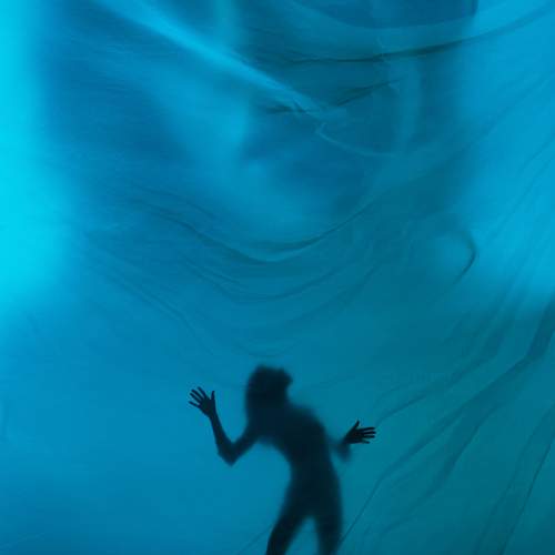 Photo #12959666
