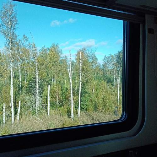 Photo #12959716