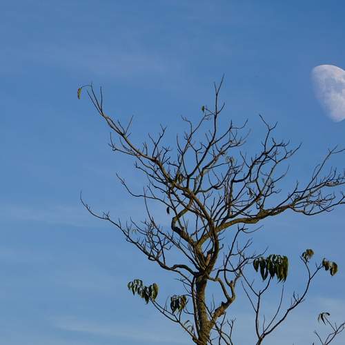 Photo #12959717