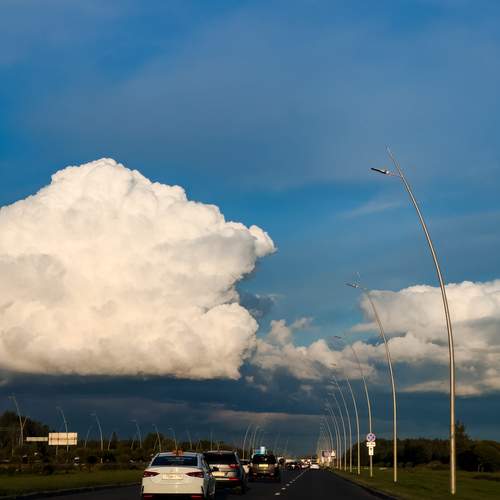 Photo #12959820