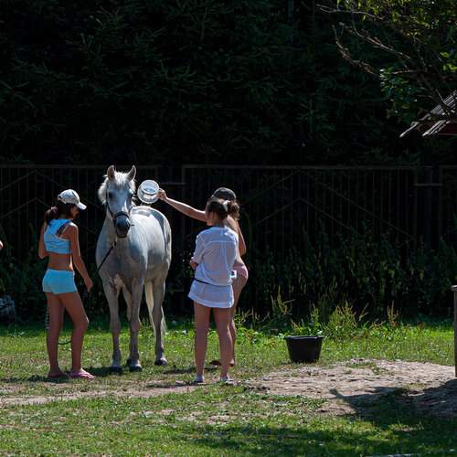 Фотография #12960128