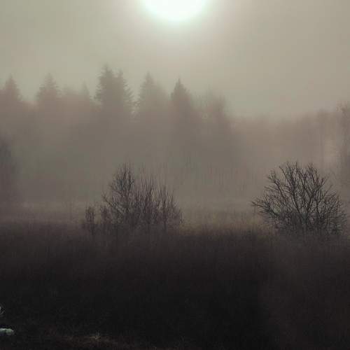 Photo #12960201