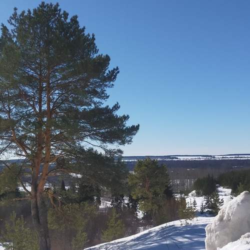Photo #12960499