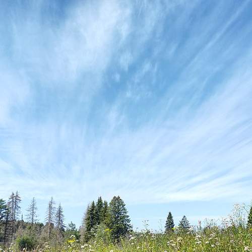 Photo #12960505