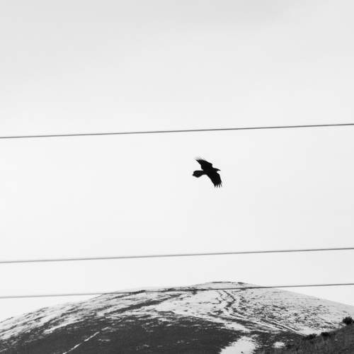 Photo #12960554