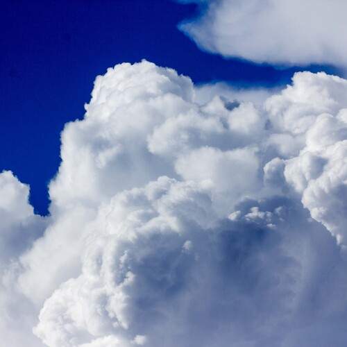 Photo #12960704