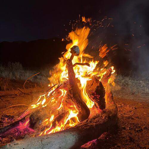 Photo #12960986