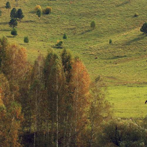 Photo #12961144