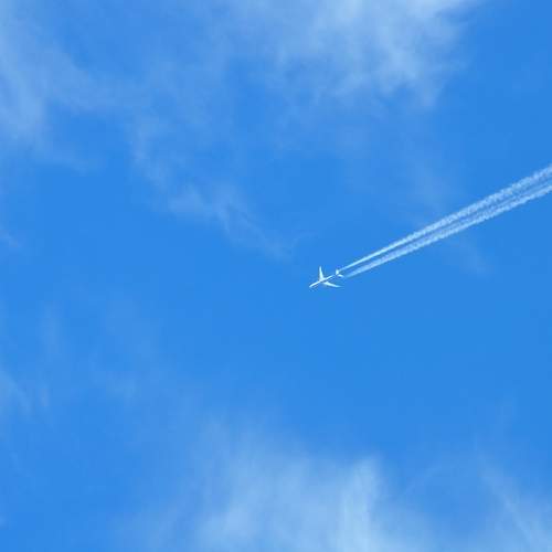 Photo #12961313