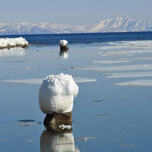 Photo #12961403