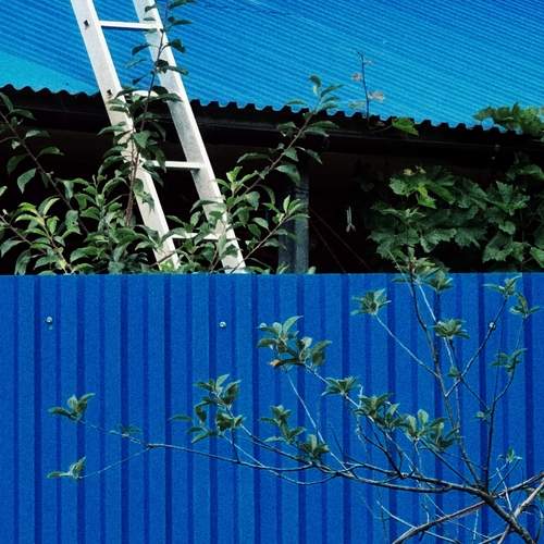 Photo #12961441