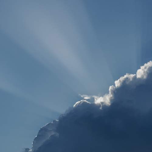 Photo #12961483
