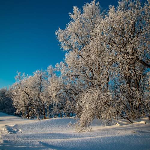 Photo #12961757