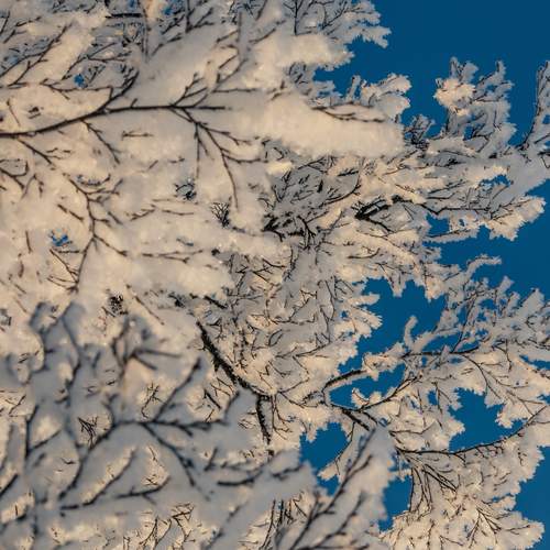 Photo #12961763