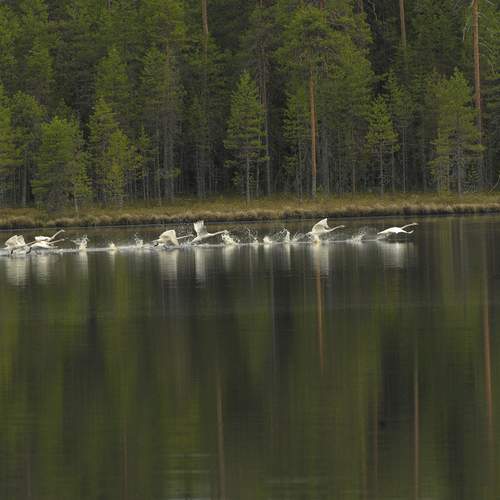Photo #12962222