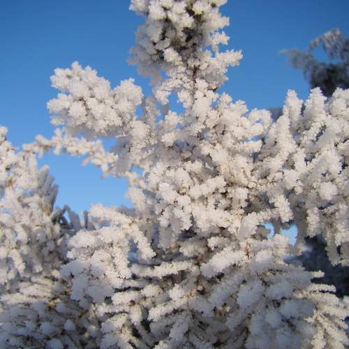Photo #12962226