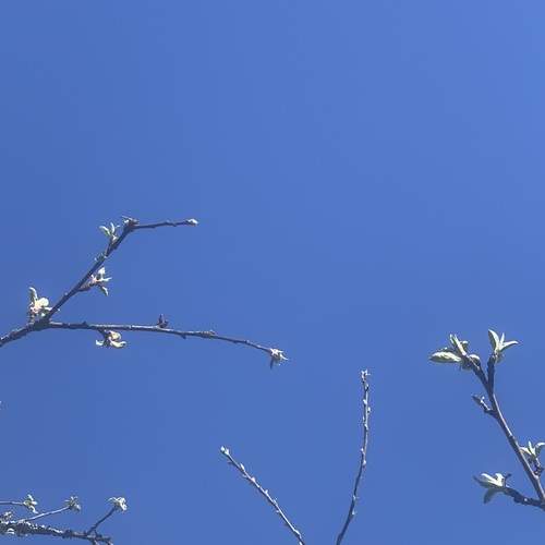 Photo #12962251