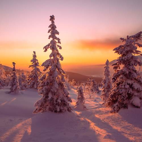 Photo #12962298