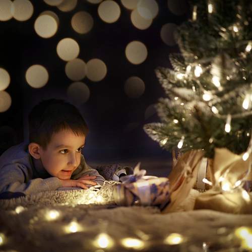 Фотография #12962676