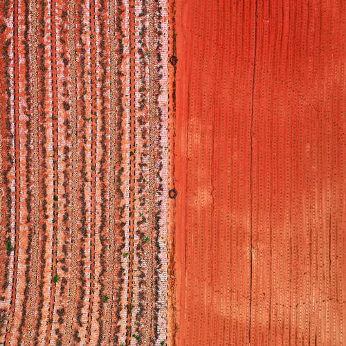 JeonNam ShinAn, 2021