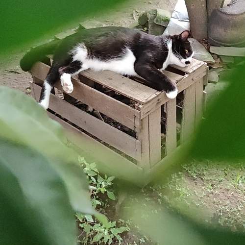 Photo #12962899