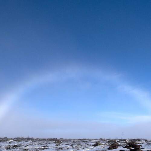 Photo #12962972