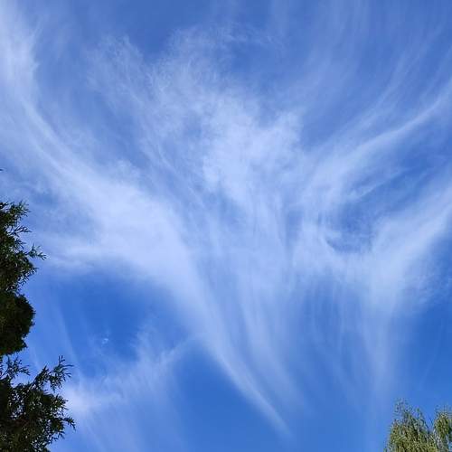 Photo #12963068