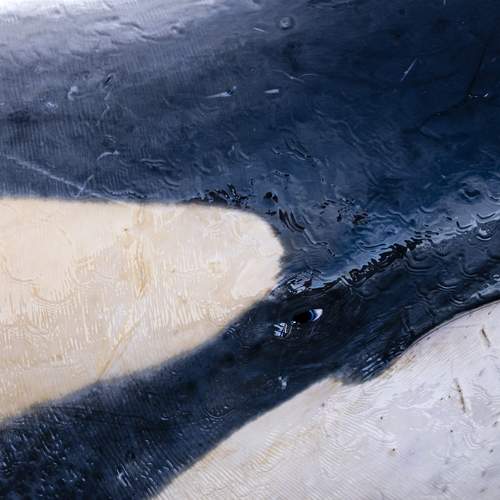 Photo #12963554