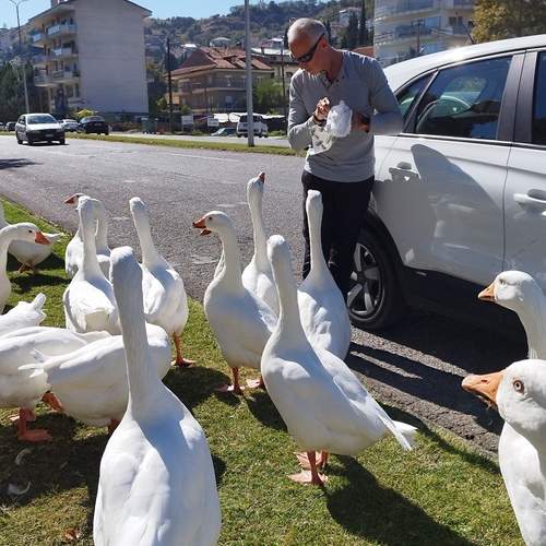 Photo #12963750
